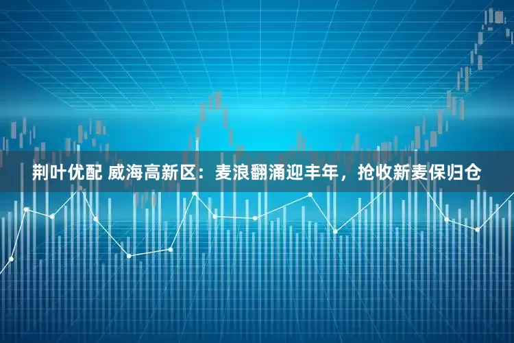 荆叶优配 威海高新区：麦浪翻涌迎丰年，抢收新麦保归仓