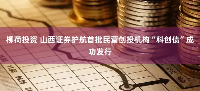 柳荷投资 山西证券护航首批民营创投机构“科创债”成功发行