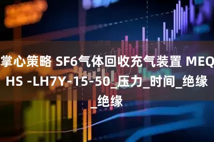 掌心策略 SF6气体回收充气装置 MEQHS -LH7Y-15-50_压力_时间_绝缘