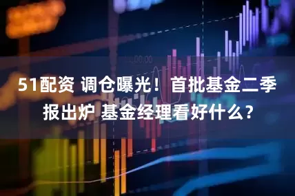 51配资 调仓曝光！首批基金二季报出炉 基金经理看好什么？