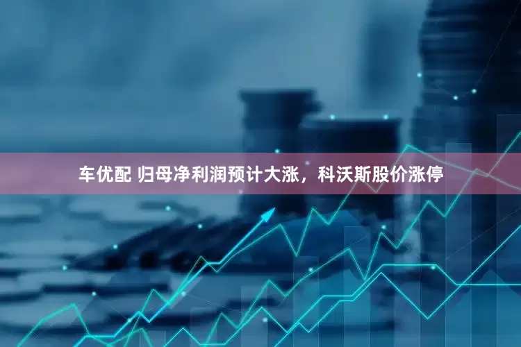 车优配 归母净利润预计大涨，科沃斯股价涨停