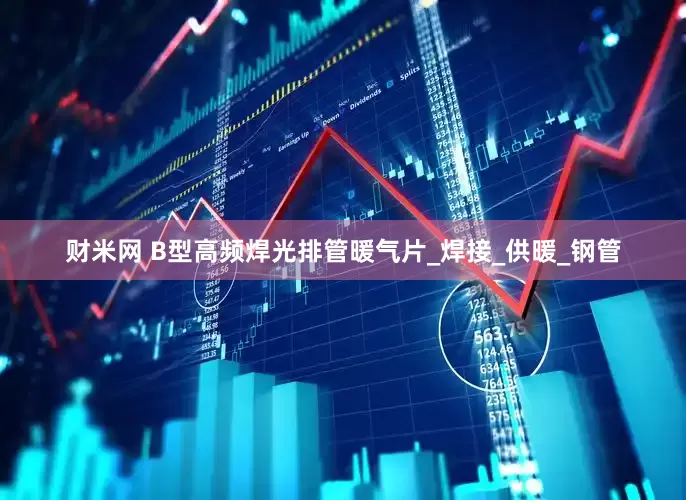 财米网 B型高频焊光排管暖气片_焊接_供暖_钢管