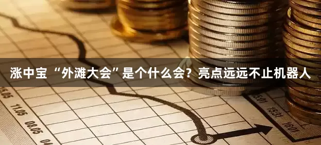 涨中宝 “外滩大会”是个什么会？亮点远远不止机器人