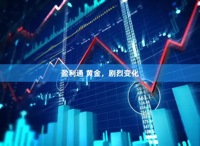 盈利通 黄金，剧烈变化