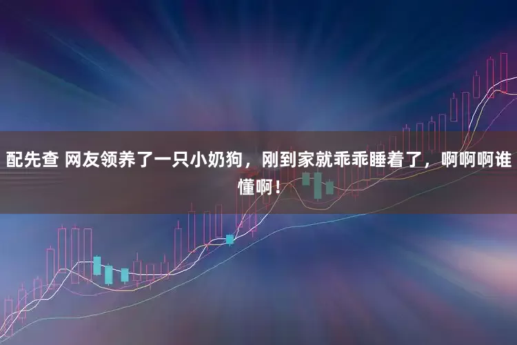 配先查 网友领养了一只小奶狗,刚到家就乖乖睡着了,啊啊啊谁懂啊!