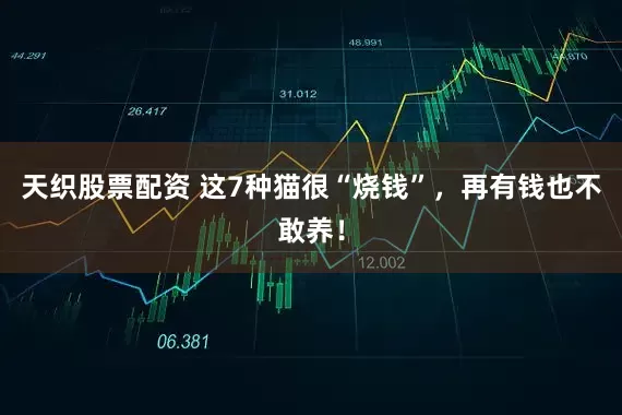 天织股票配资 这7种猫很“烧钱”,再有钱也不敢养!