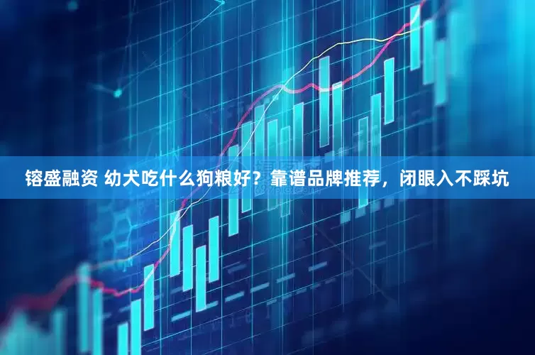 镕盛融资 幼犬吃什么狗粮好?靠谱品牌推荐,闭眼入不踩坑
